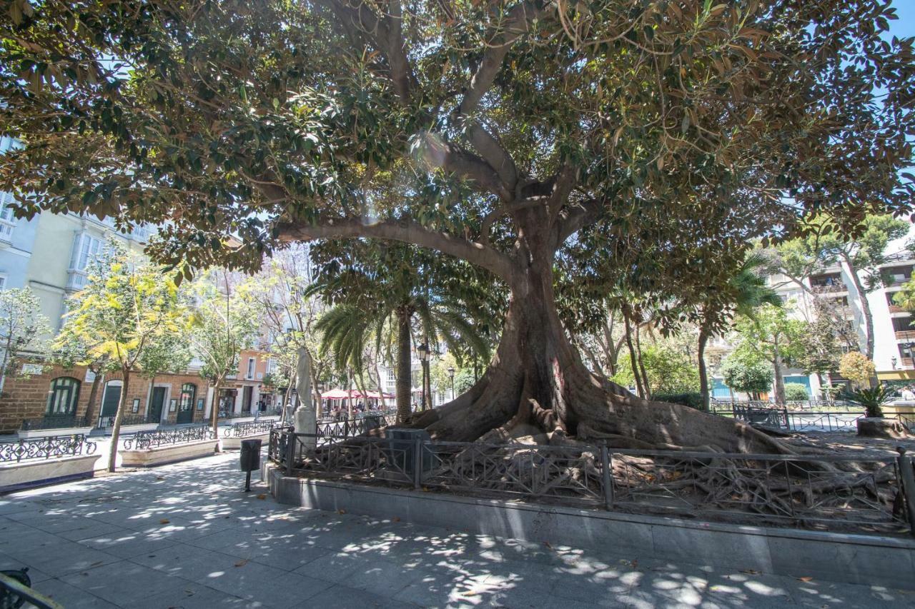 Apartamento Aires Mediterraneos Διαμέρισμα Καντίζ Εξωτερικό φωτογραφία